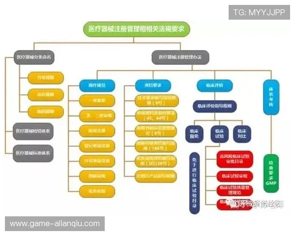尊龙集团登录入口：用户注册与登录流程详细介绍