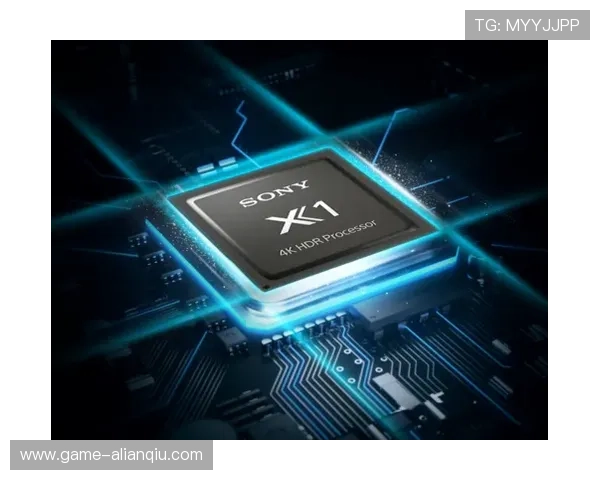 捷豹娱乐城：先进的技术保障平台稳定运行，提供流畅顺畅的游戏体验与高清画质